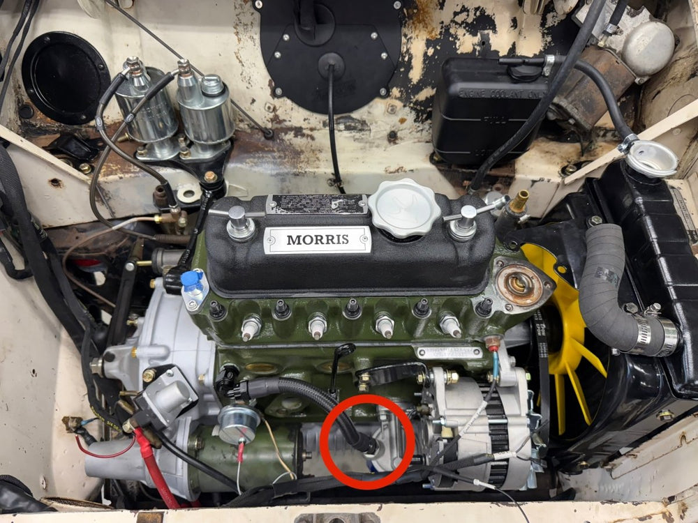Filter Oil AN Fitting - Oil Transfer Line - Classic Mini DIY